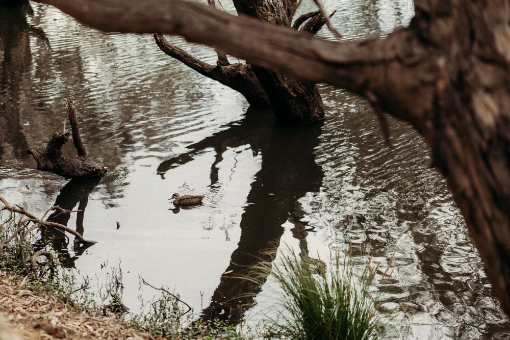 werribee family photographer