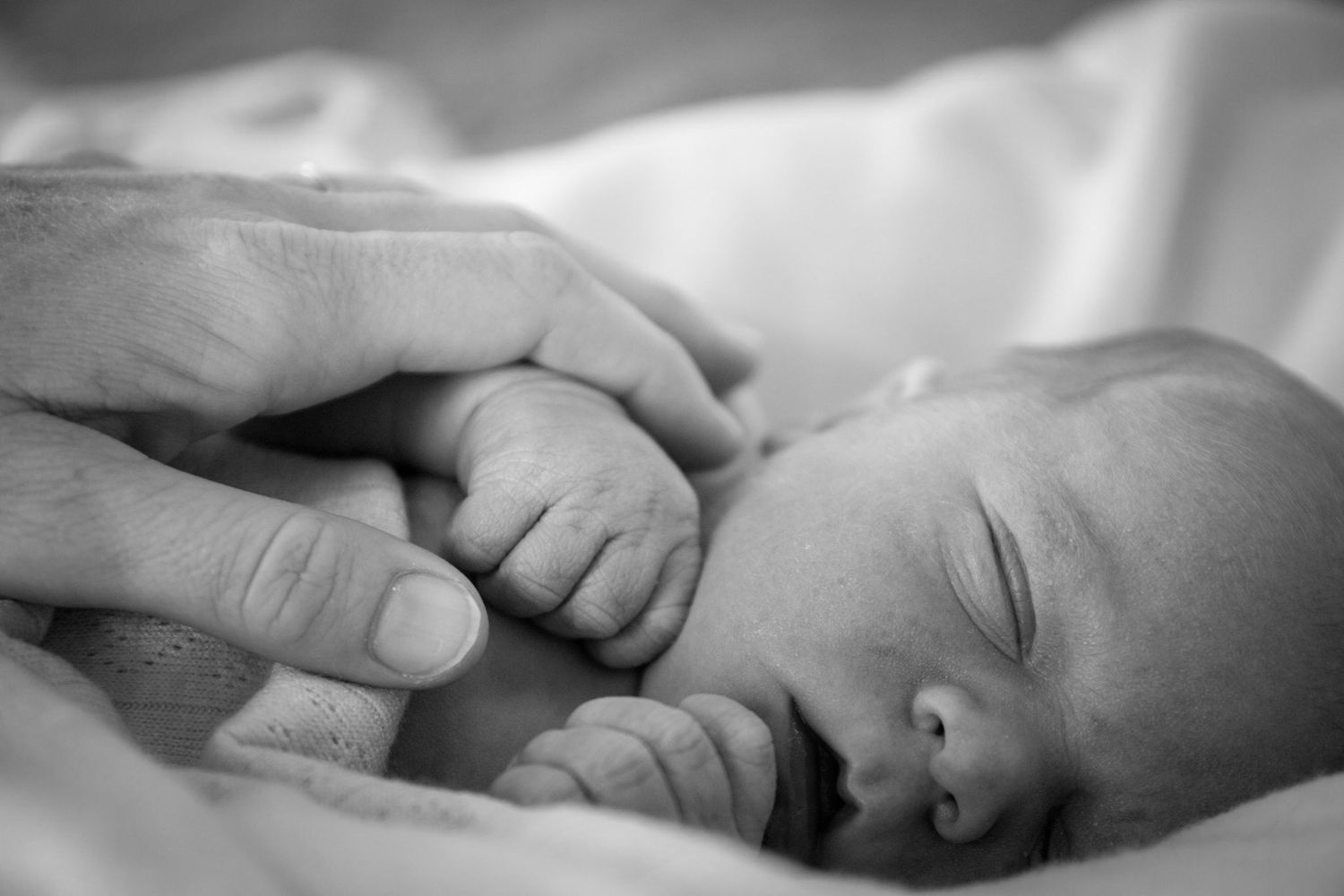 Black and white image of parent's hand holding newborn's tiny fingers.