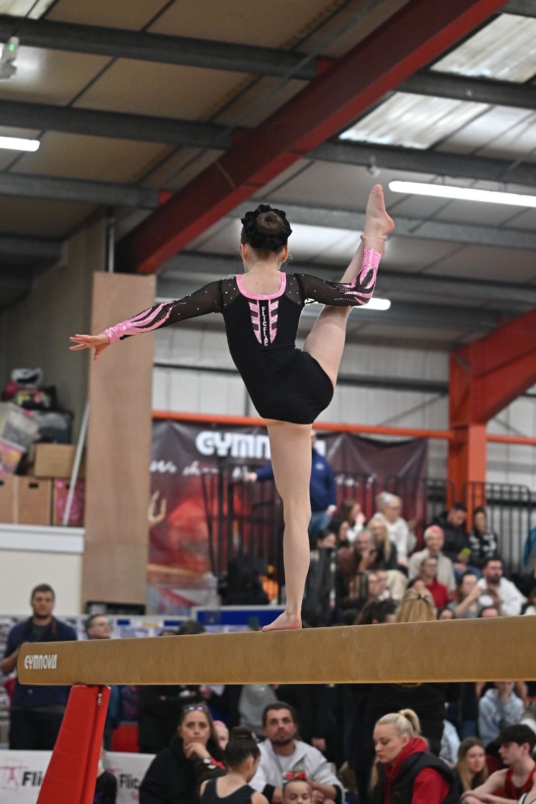 Young gymnast in pose