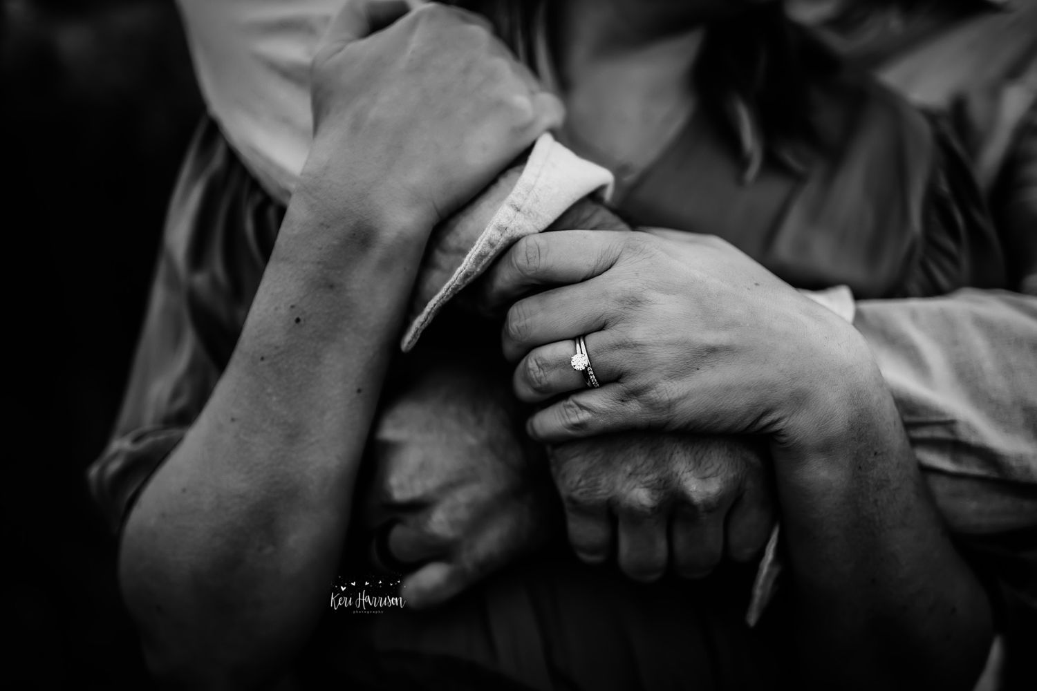 Metro Detroit Family Photographer