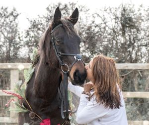 Horse and owner sharing a close moment outdoors near a wooden fence.