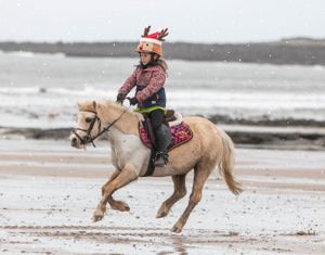 Horse and rider galloping along a winter beach at sunset.