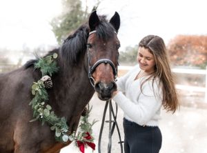 Horse wearing holiday greenery and red bow during winter photoshoot.