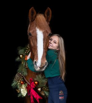 Horse wearing decorative Christmas wreath with pine branches and red bow.
