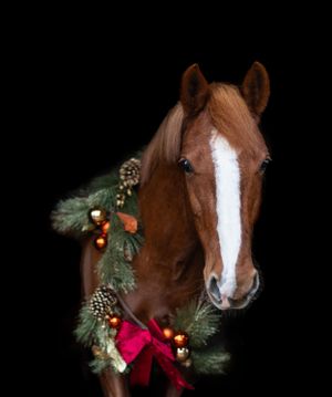Chestnut horse wearing festive Christmas wreath with pinecones and red bow.