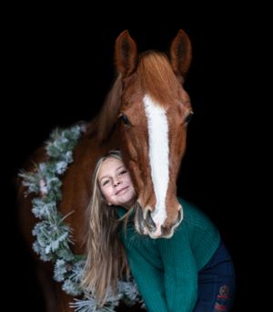 Close up portrait of horse wearing festive holiday wreath against dark background.