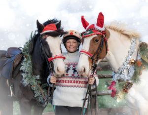Three horses wearing Santa hats and wreaths with companion in holiday sweater.