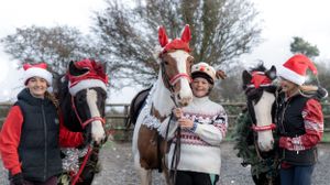 Outdoor Christmas photo session with decorated horses and handlers in winter setting.