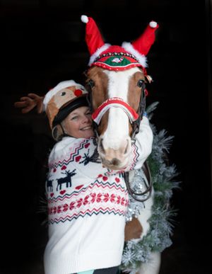 Horse wearing festive Santa hat and holiday decorations with companion in Christmas sweater.