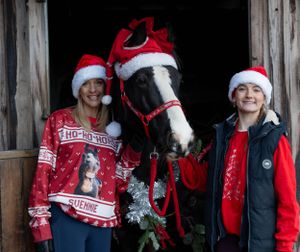 Horse in red Christmas gear with companions wearing holiday sweaters in barn doorway.