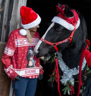 Horse wearing red Christmas tack and decorations with companion in holiday sweater.