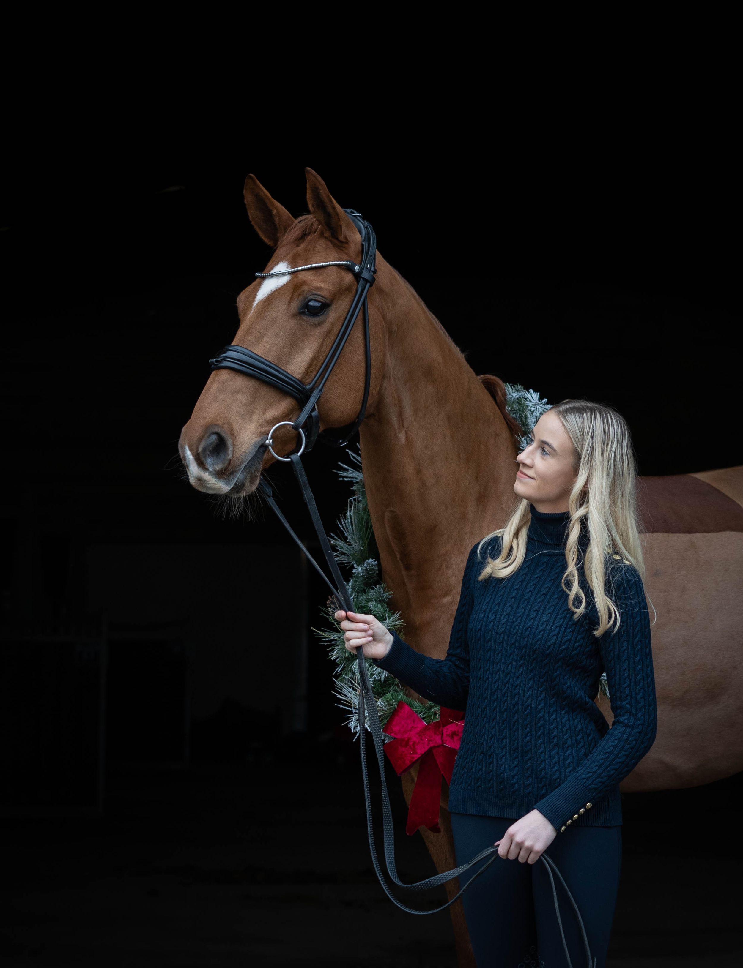 Beautiful chestnut horse wearing bridle decorated with holiday greenery against dark background.
