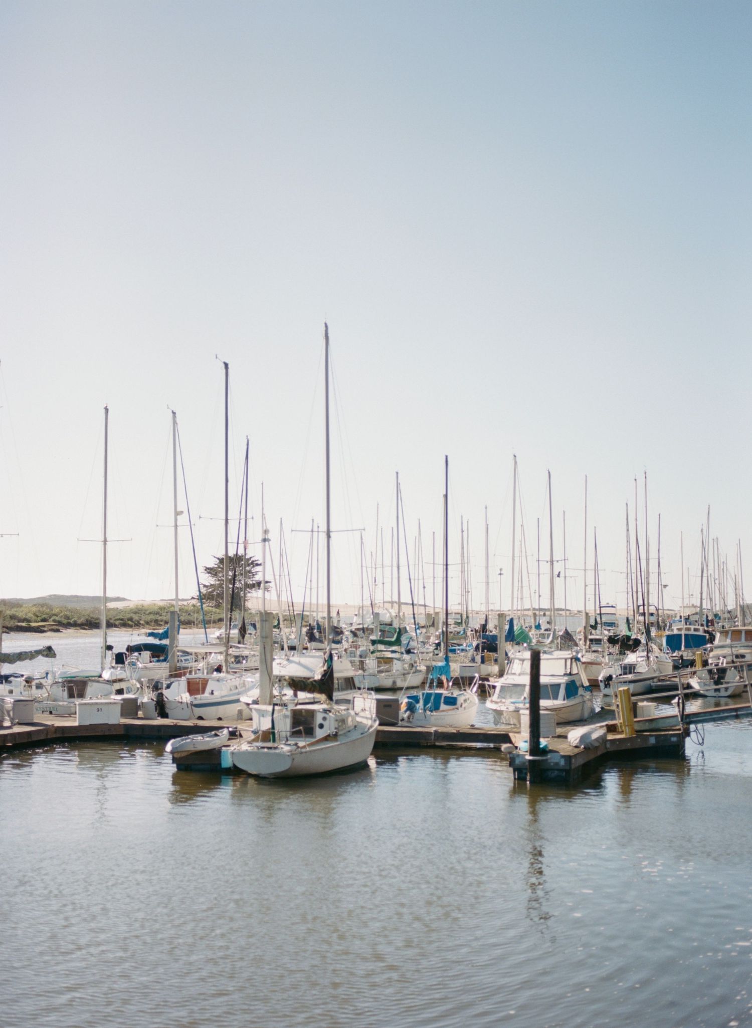 Sailboats and yachts docked at a peaceful marina with tall masts against a light blue sky captured by Chelsee Rawe Photography