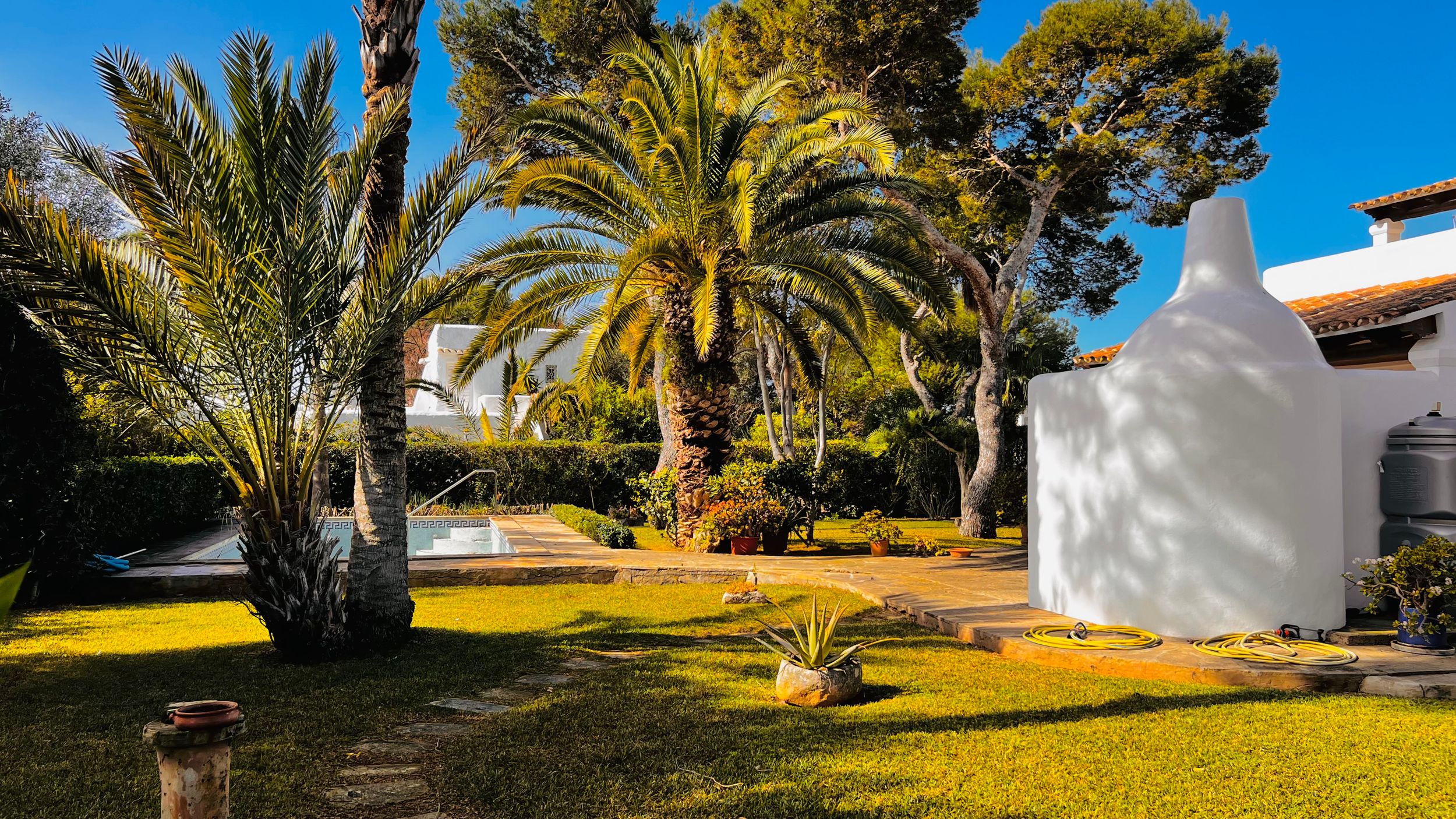Palm trees line a walkway against a bright blue sky at a Mediterranean resort property.