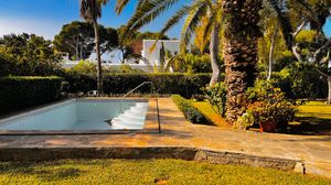 A tranquil swimming pool surrounded by palm trees and lush gardens on a sunny day in a tropical setting.