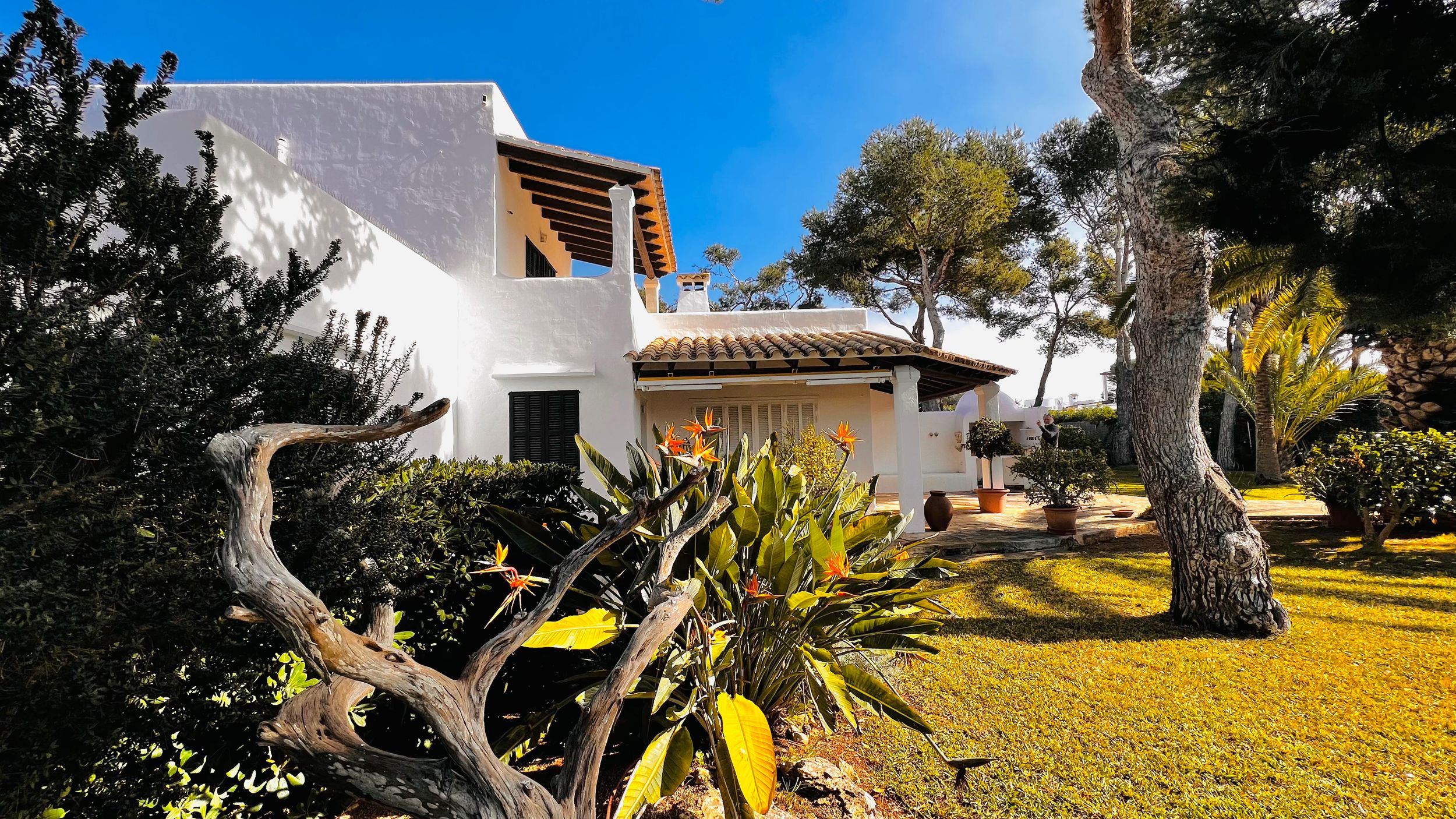 A panoramic collage of Mediterranean coastal scenes with white buildings, palm trees, and yellow wildflowers in spring.