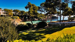 Panoramic view of a Mediterranean coastline with pine trees and turquoise waters on a sunny day.