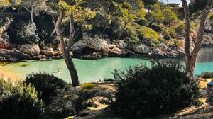 Rocky shoreline with Mediterranean pine trees overlooking crystal clear blue waters.