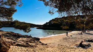Scenic beach cove with calm waters surrounded by trees and rocky shoreline at a secluded bay.
