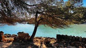 Panoramic collage of rocky coastal landscapes with turquoise waters and pine trees framing scenic Mediterranean views.