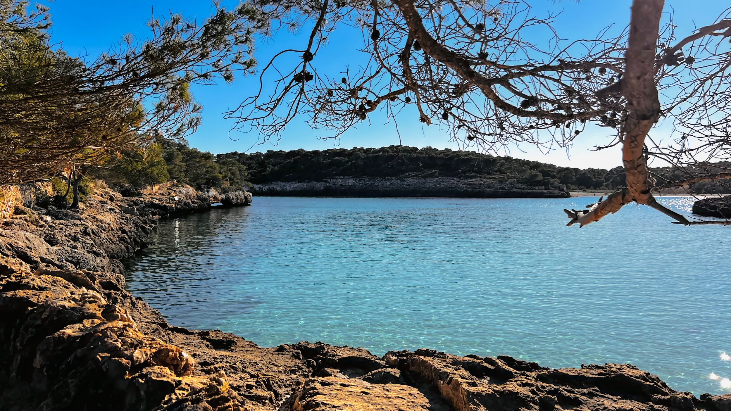 Tranquil blue lake waters surrounded by rocky shoreline and pine trees on a sunny day.