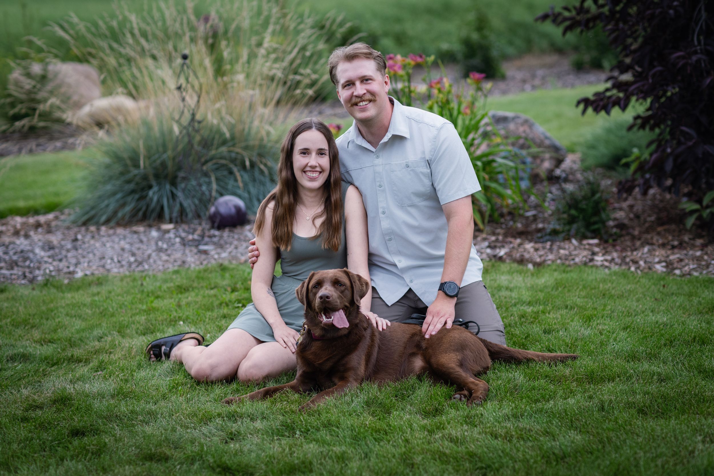 A couple and their chocolate Labrador retriever pose together in a series of outdoor portrait photos on green grass.