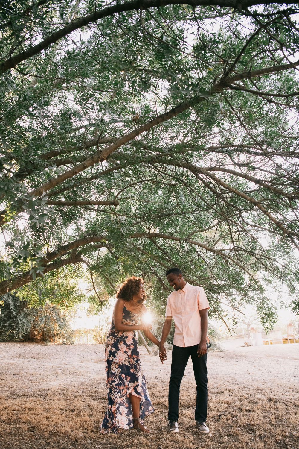 Couple holding hands under a large tree with golden sunlight glowing behind them in a dry outdoor setting.