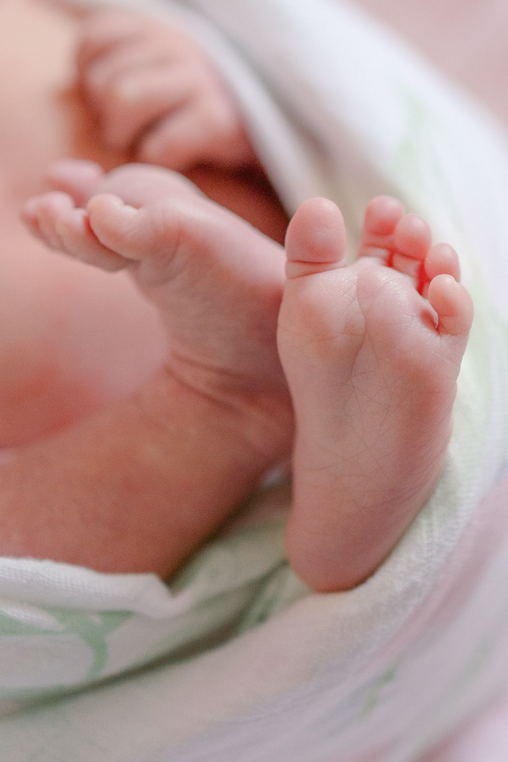 Close-up photo of tiny newborn baby feet wrapped in soft white and green blanket.
