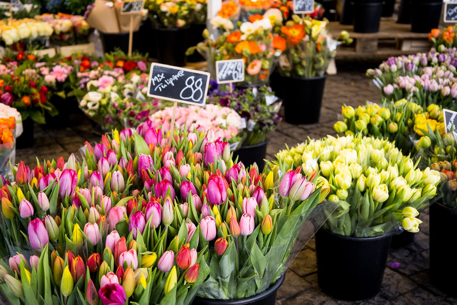 Vibrant display of colorful tulip bouquets in buckets at an outdoor flower market.