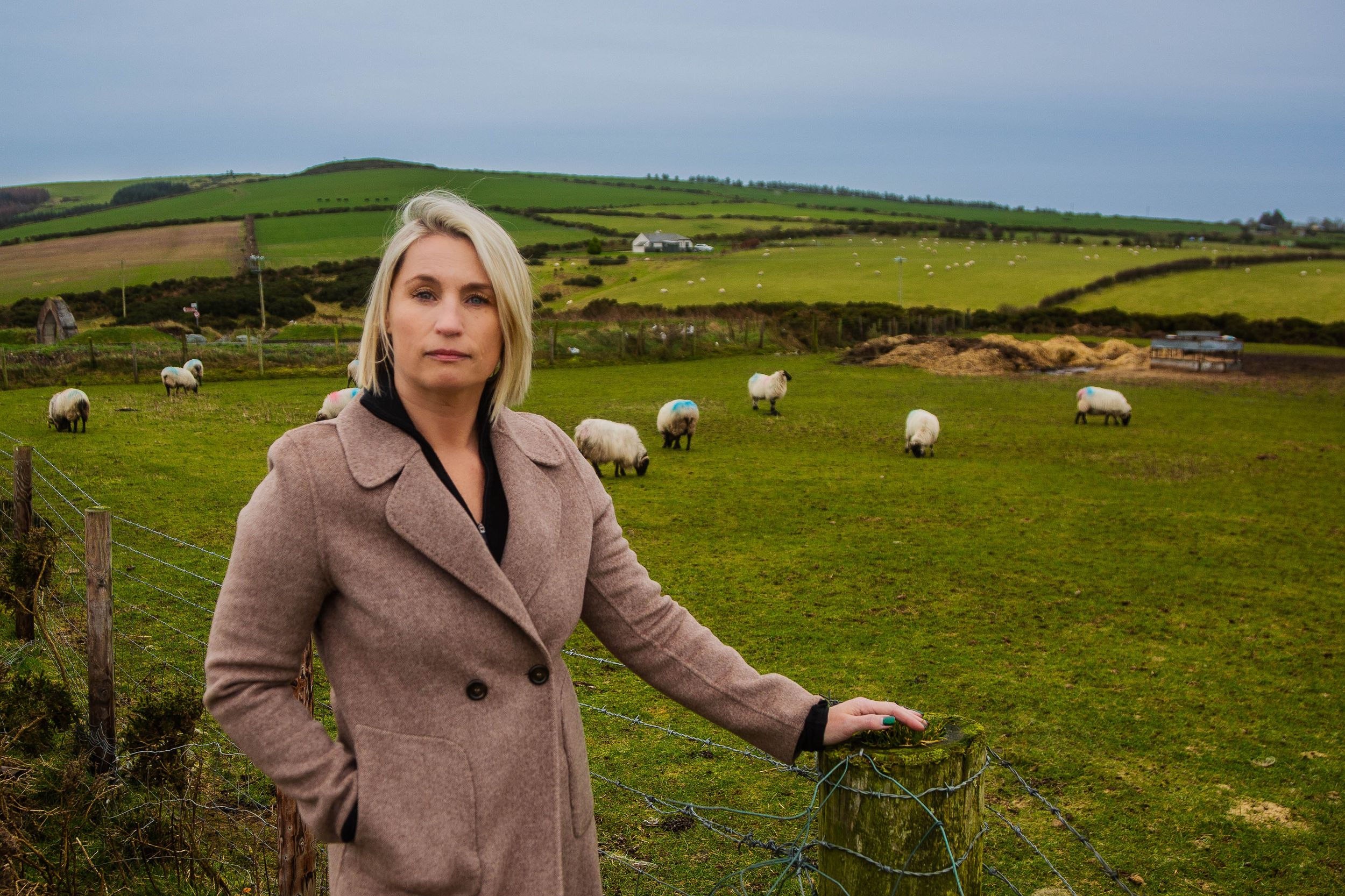 Single traveller posing with rolling green pastures with grazing sheep against rural countryside backdrop.