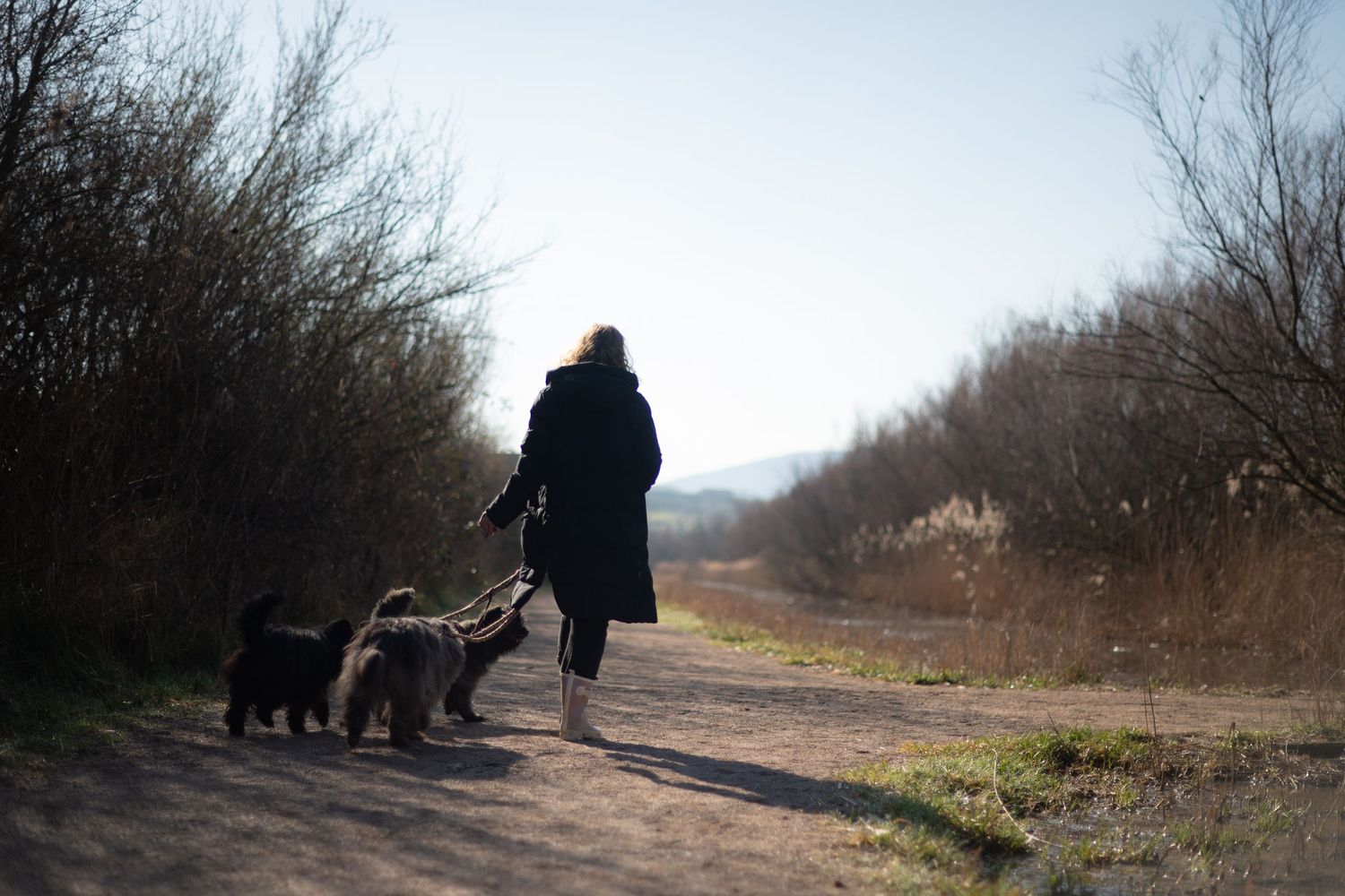 person with their dog during a natural portrait session