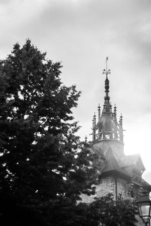 Black and white architectural photograph showing a gothic church spire with ornate details emerging behind trees and a street lamp.