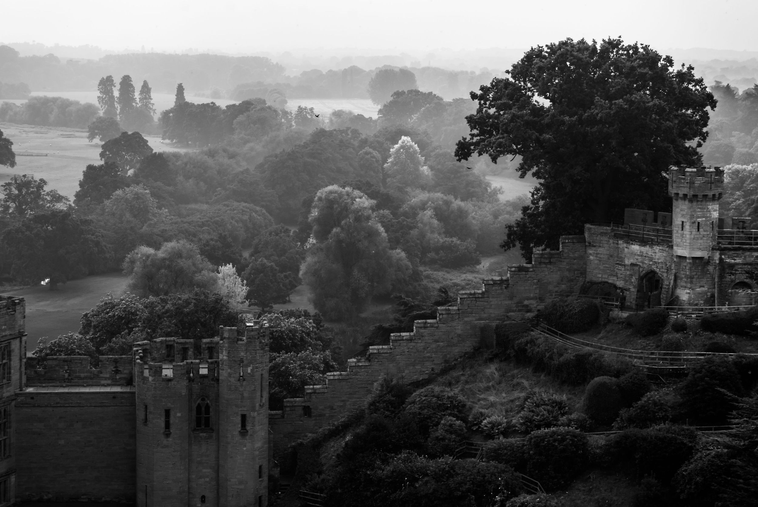 Panoramic black and white landscape showing a hillside town with trees and buildings in silhouette.