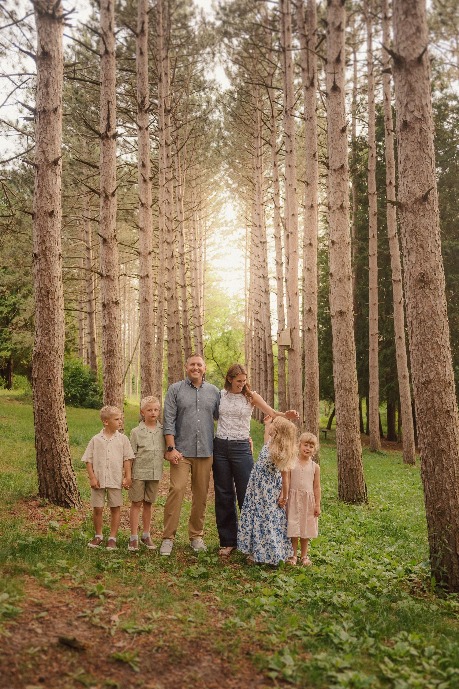A family poses together in a pine forest at golden hour with sunlight filtering through the tall trees.