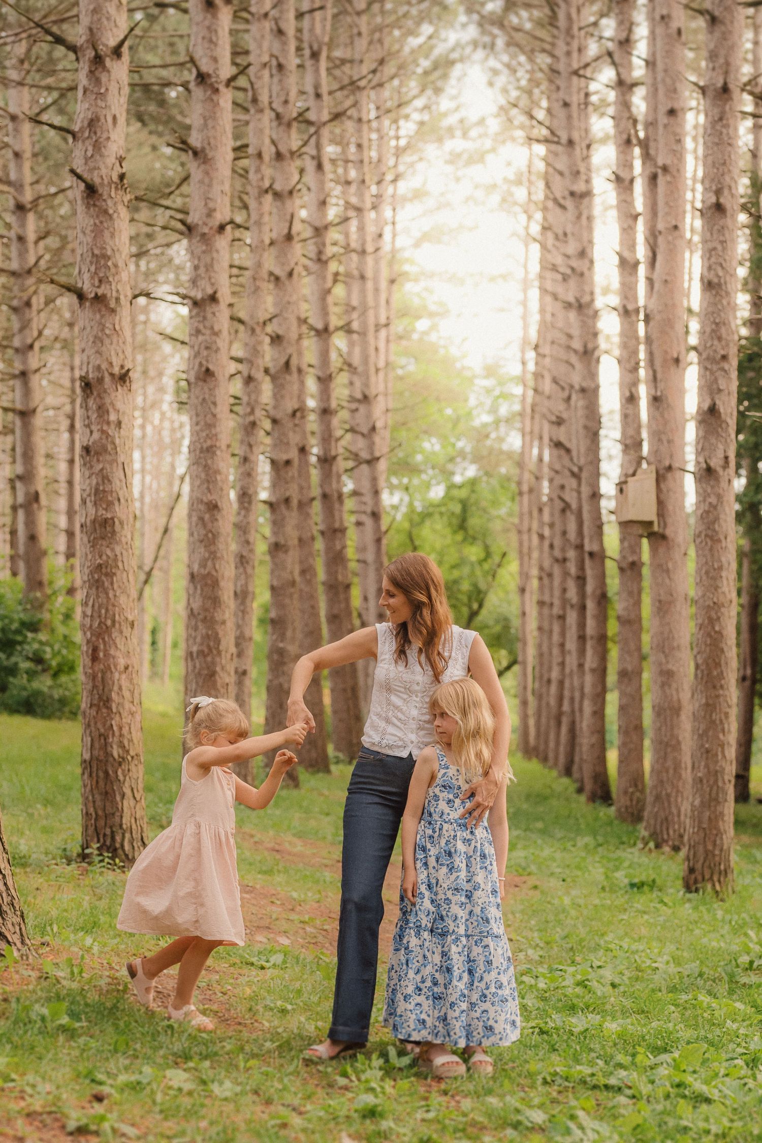 A family plays together in a pine forest setting during golden hour.
