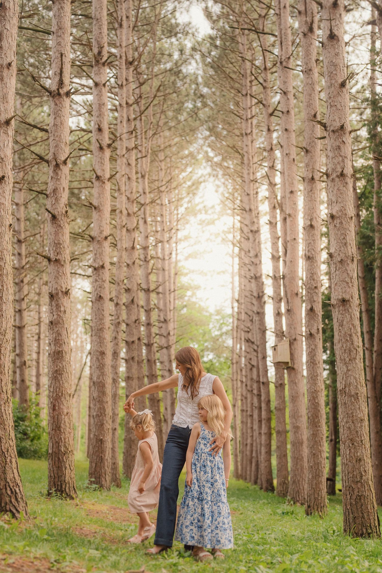 Romantic outdoor photoshoot in a serene pine forest with sunlight filtering through the trees.