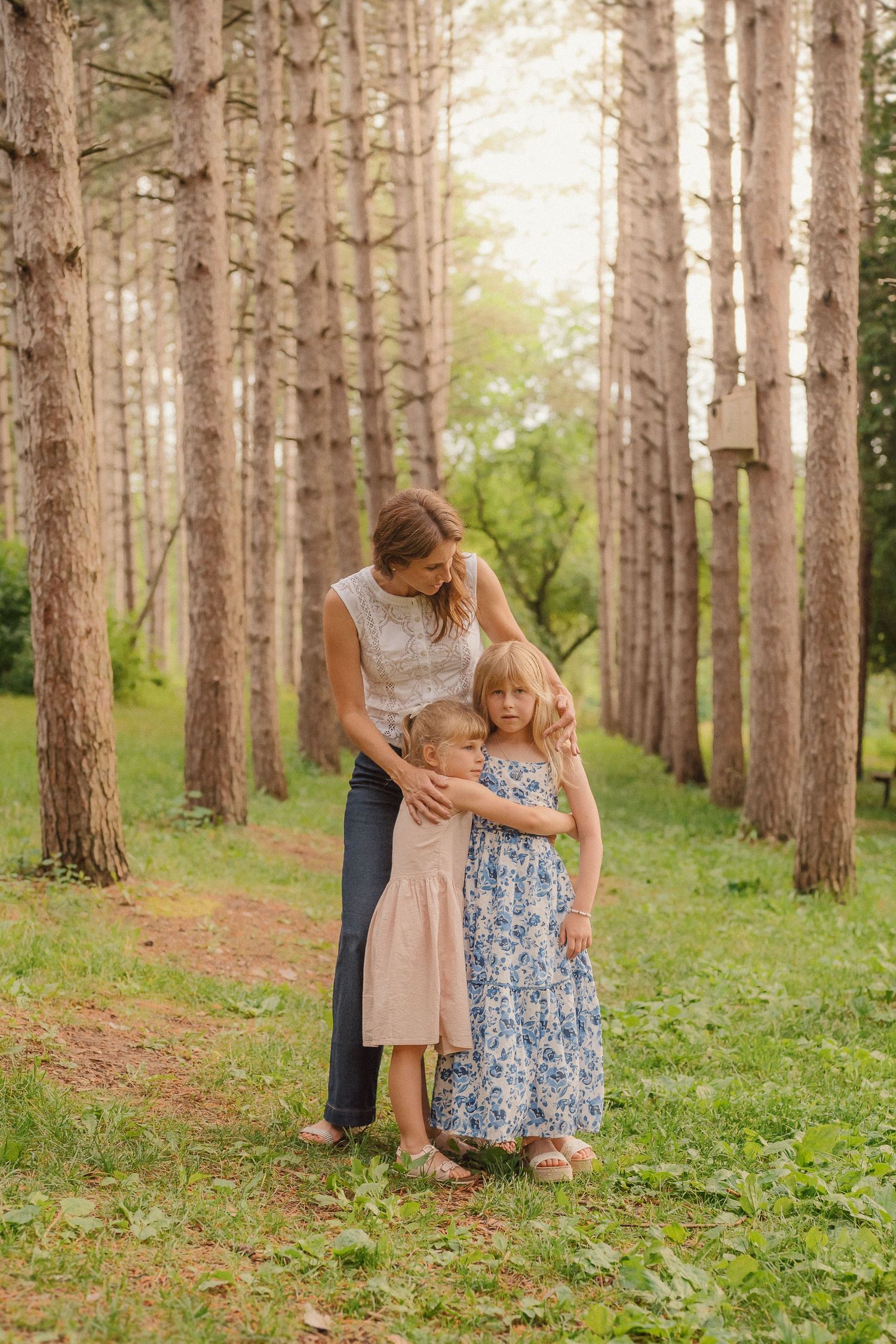 Family sharing tender moments together while posing in a scenic pine forest setting at sunset.