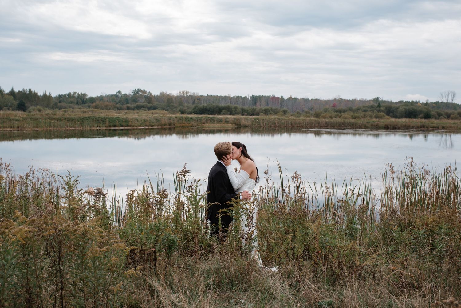 A sweeping panoramic view of a serene wetland area with tall grasses and a cloudy sky above.