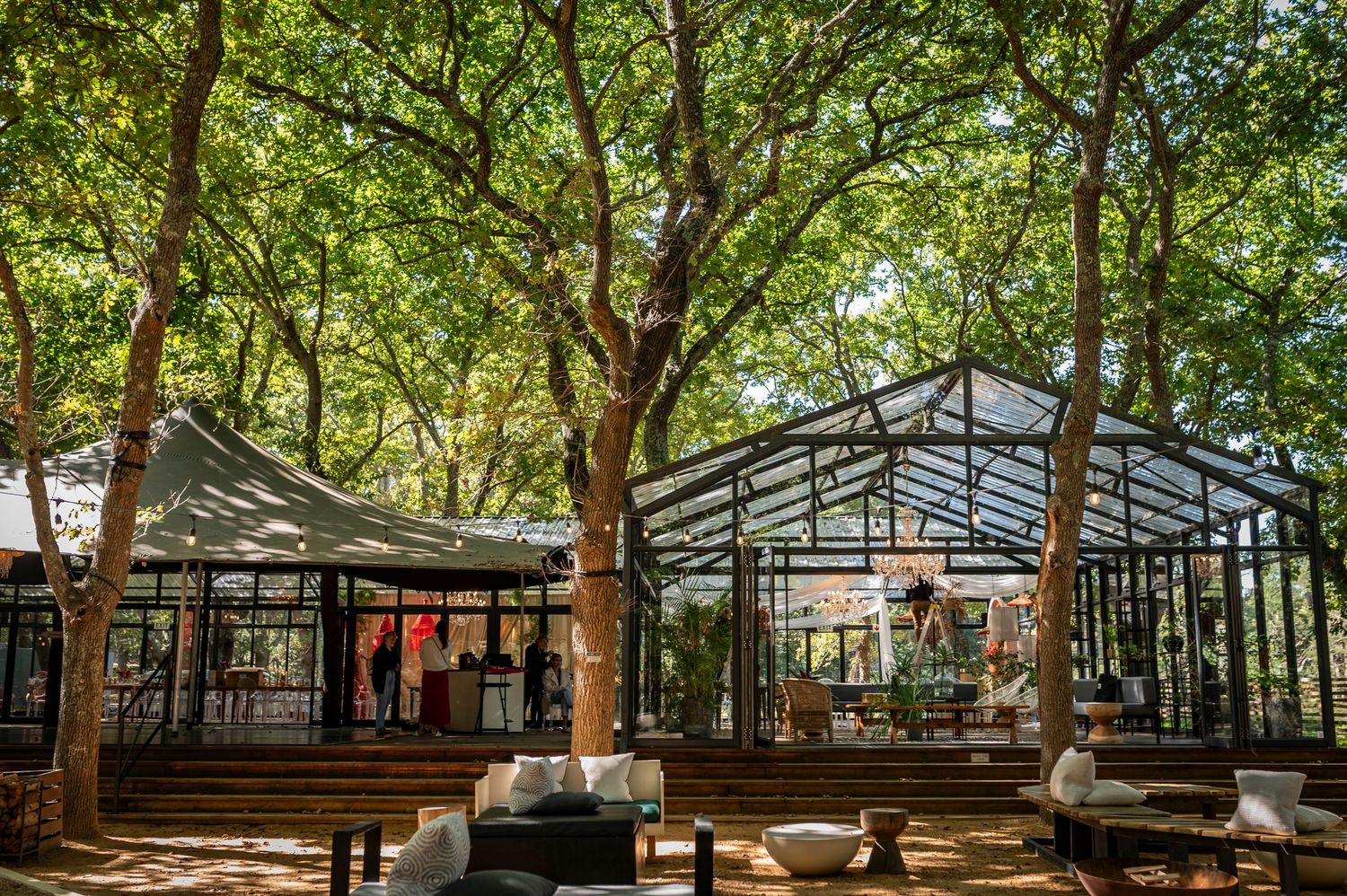 Modern glass greenhouse structure with outdoor seating area surrounded by lush green trees in a garden setting.