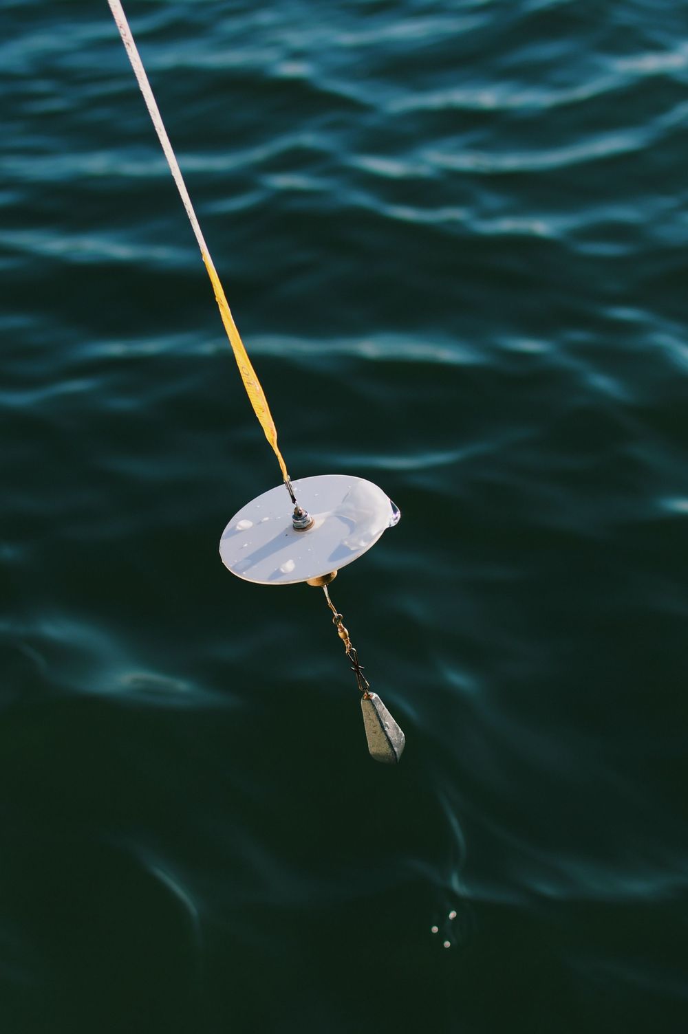 White sampling disk suspended by rope over dark ocean water.