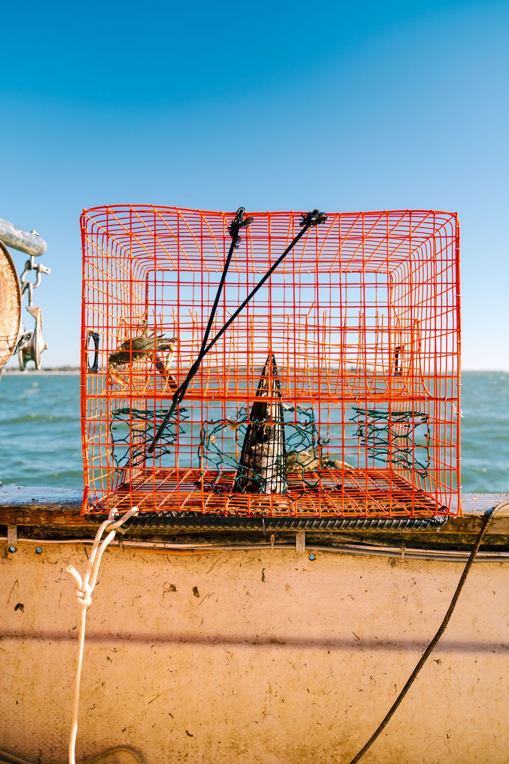 Orange crab trap sits on boat deck against blue ocean and sky background.