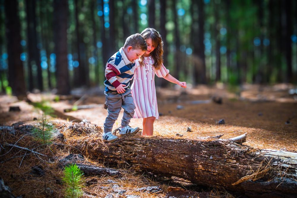 Family Photoshoot, Adelaide, Newborns, Portrait, Forest, Beach, Studio, Events, Weddings, Pet Photos , Dogs, Friends, Conceptual, Children