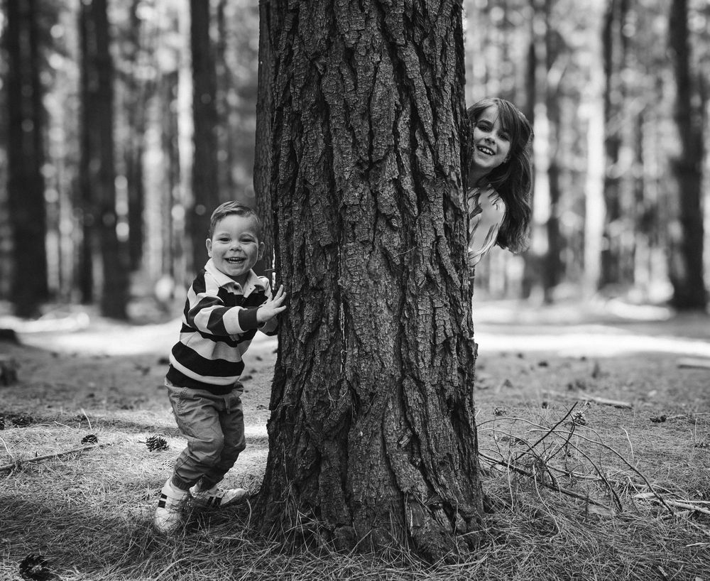 Family Photoshoot, Adelaide, Newborns, Portrait, Forest, Beach, Studio, Events, Weddings, Pet Photos , Dogs, Friends, Conceptual, Children