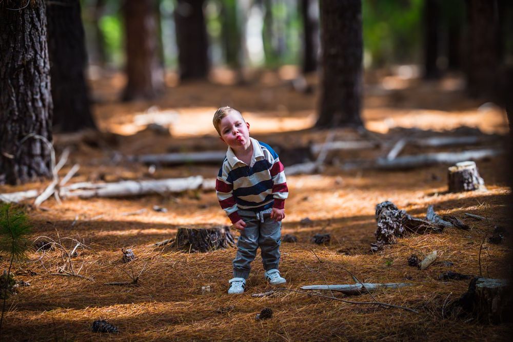 Family Photoshoot, Adelaide, Newborns, Portrait, Forest, Beach, Studio, Events, Weddings, Pet Photos , Dogs, Friends, Conceptual, Children