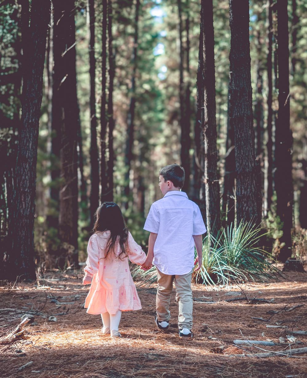 Family Photoshoot, Adelaide, Newborns, Portrait, Forest, Beach, Studio, Events, Weddings, Pet Photos , Dogs, Friends, Conceptual, Children