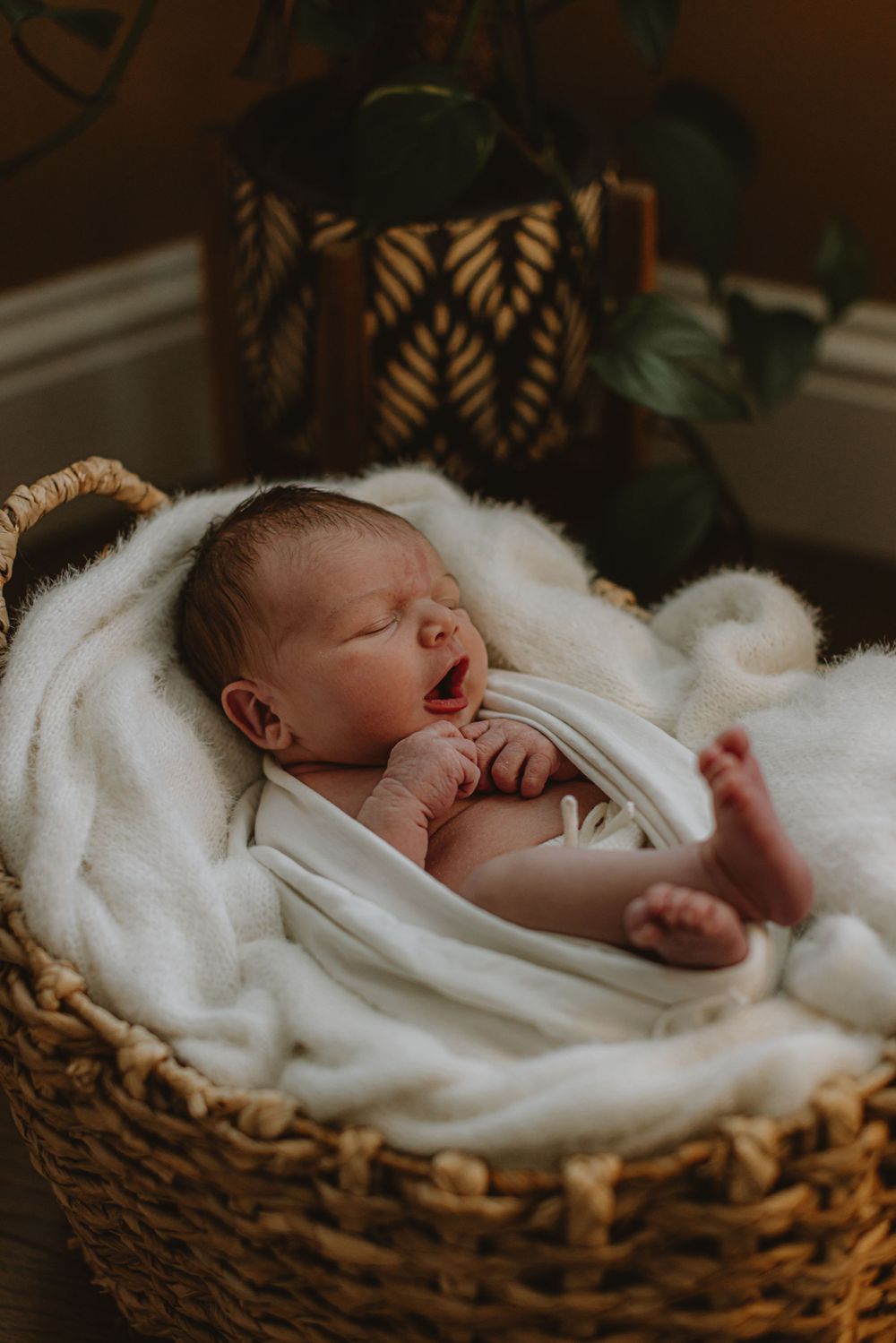 Sleeping newborn baby wrapped in white blanket in woven basket.