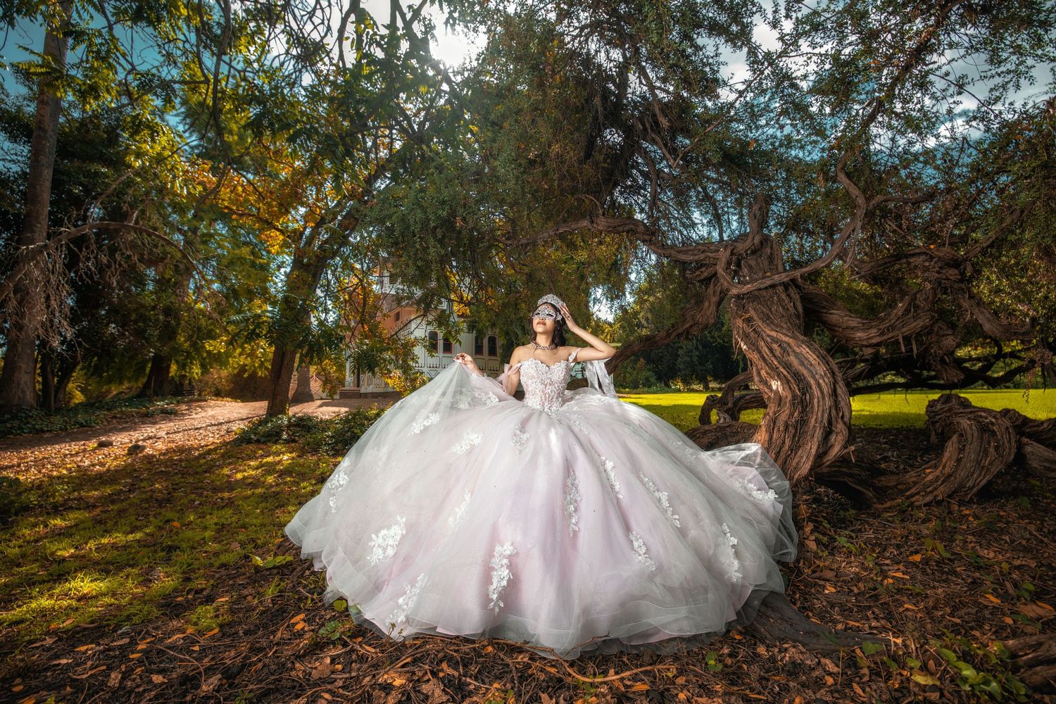 Elegant white ball gown wedding dress showcased in a dreamy forest setting with sunlit trees and moss-covered ground.