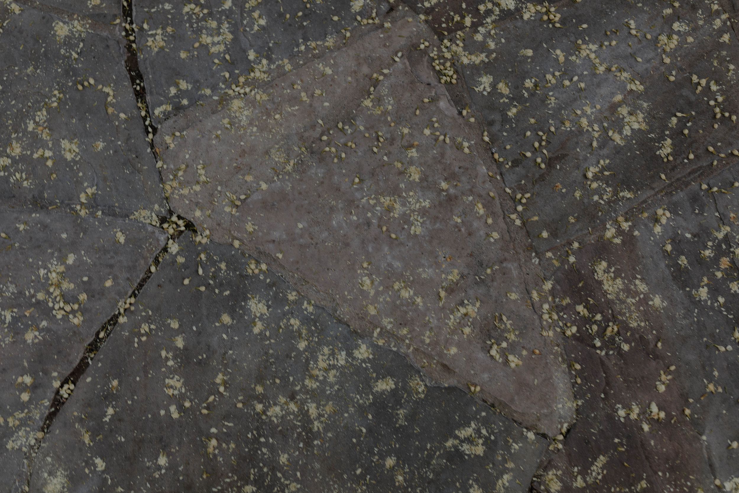Abstract dark textured background with speckled pattern and natural organic shapes.