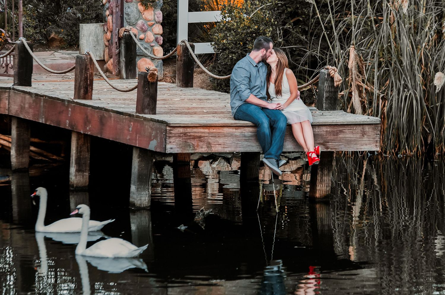 Romantic couple sits on rustic wooden dock over dark water with white swans swimming below.