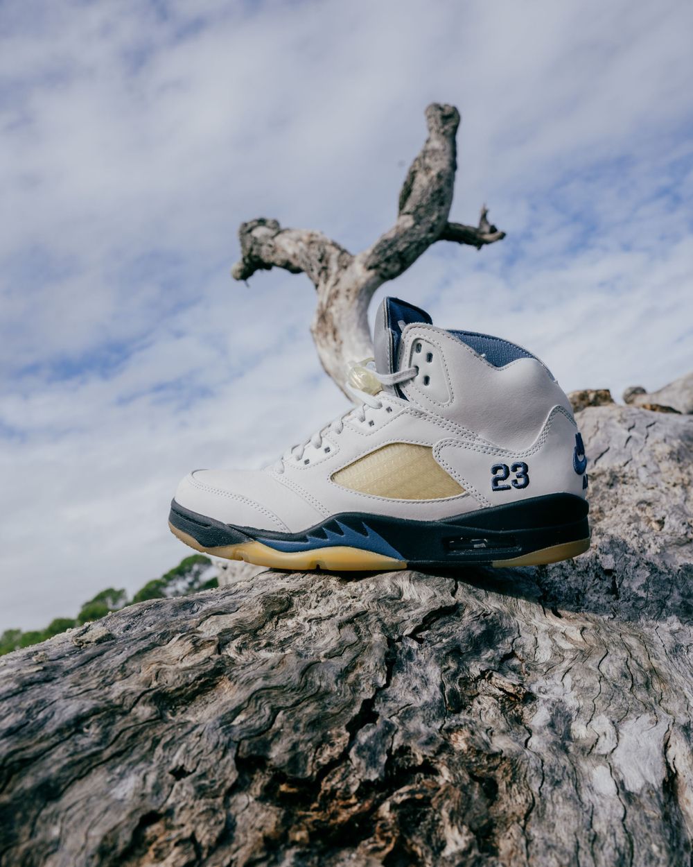 White and blue Air Jordan 5 sneaker positioned on weathered rock against cloudy sky.